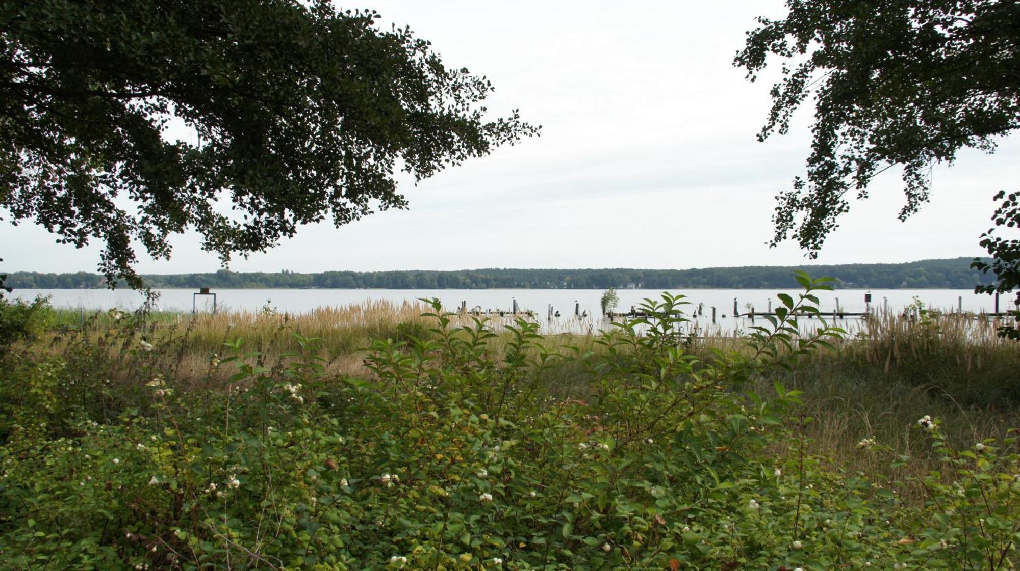 Marina Maisonette Seeblick Mit Pool Und Sauna Bad Saarow Exterior photo